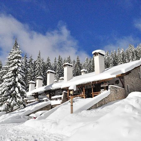Holiday Village Kochorite Pamporovo Kültér fotó